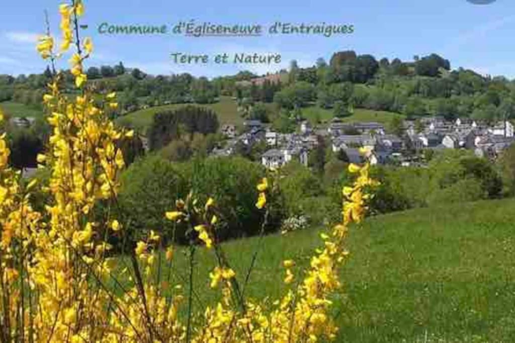 Dans Un Village En Auvergne Sancy *