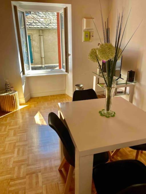 Apartment Dans Un Village En Auvergne Sancy *