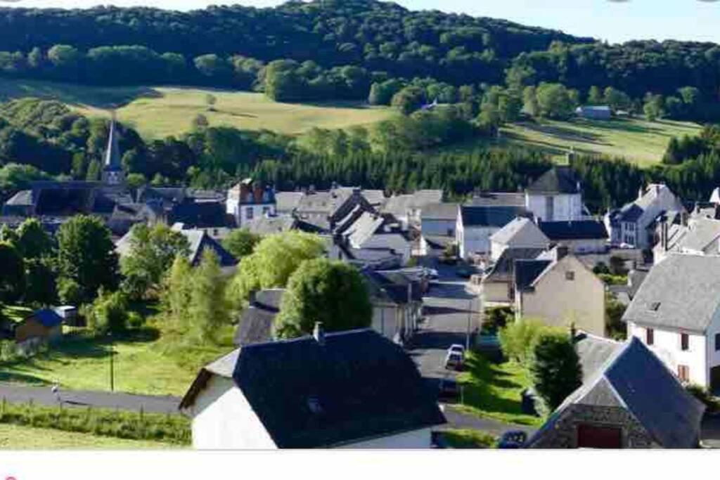 Apartment Dans Un Village En Auvergne Sancy Egliseneuve-d'Entraigues