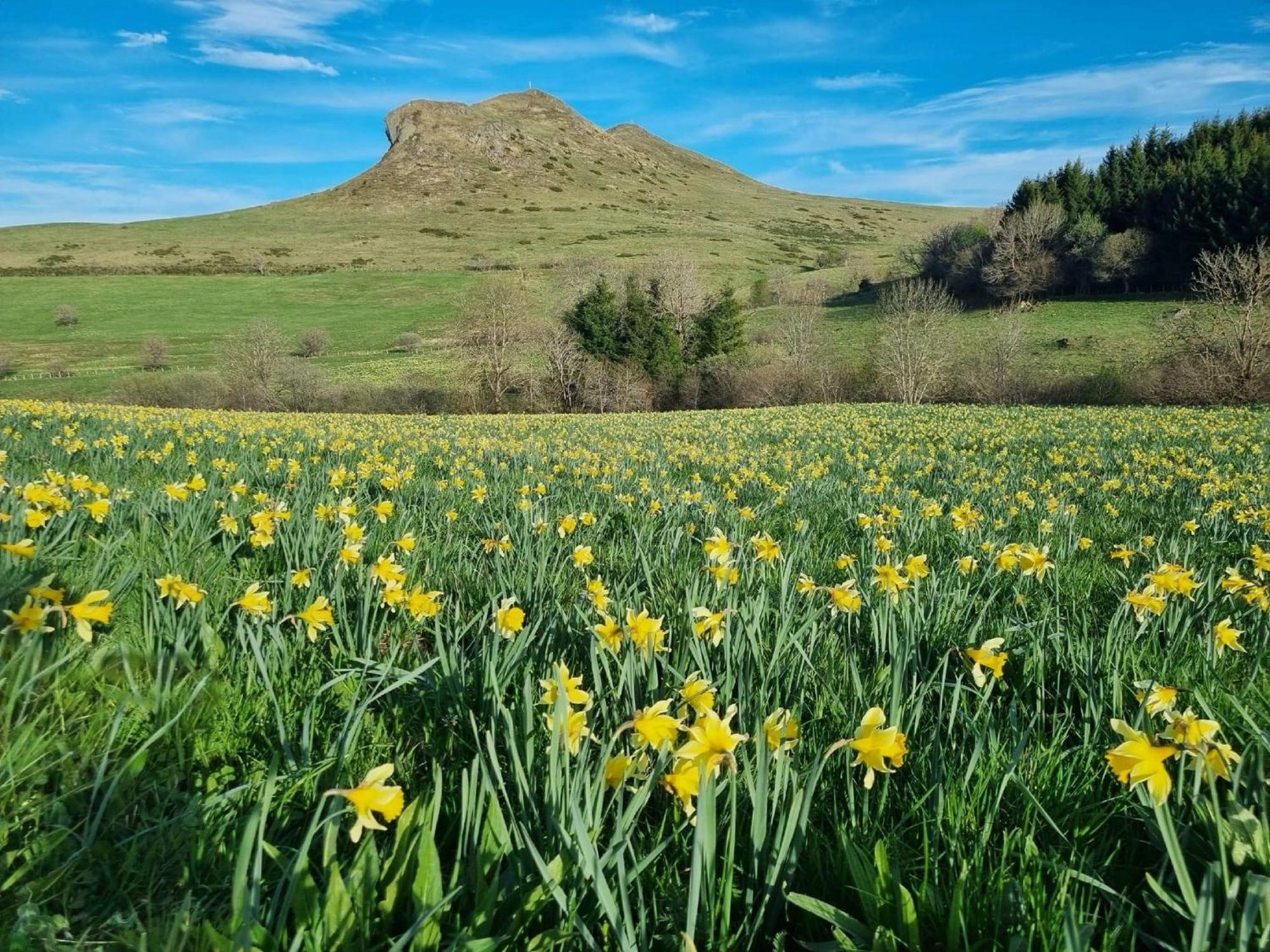 Dans Un Village En Auvergne Sancy Apartment